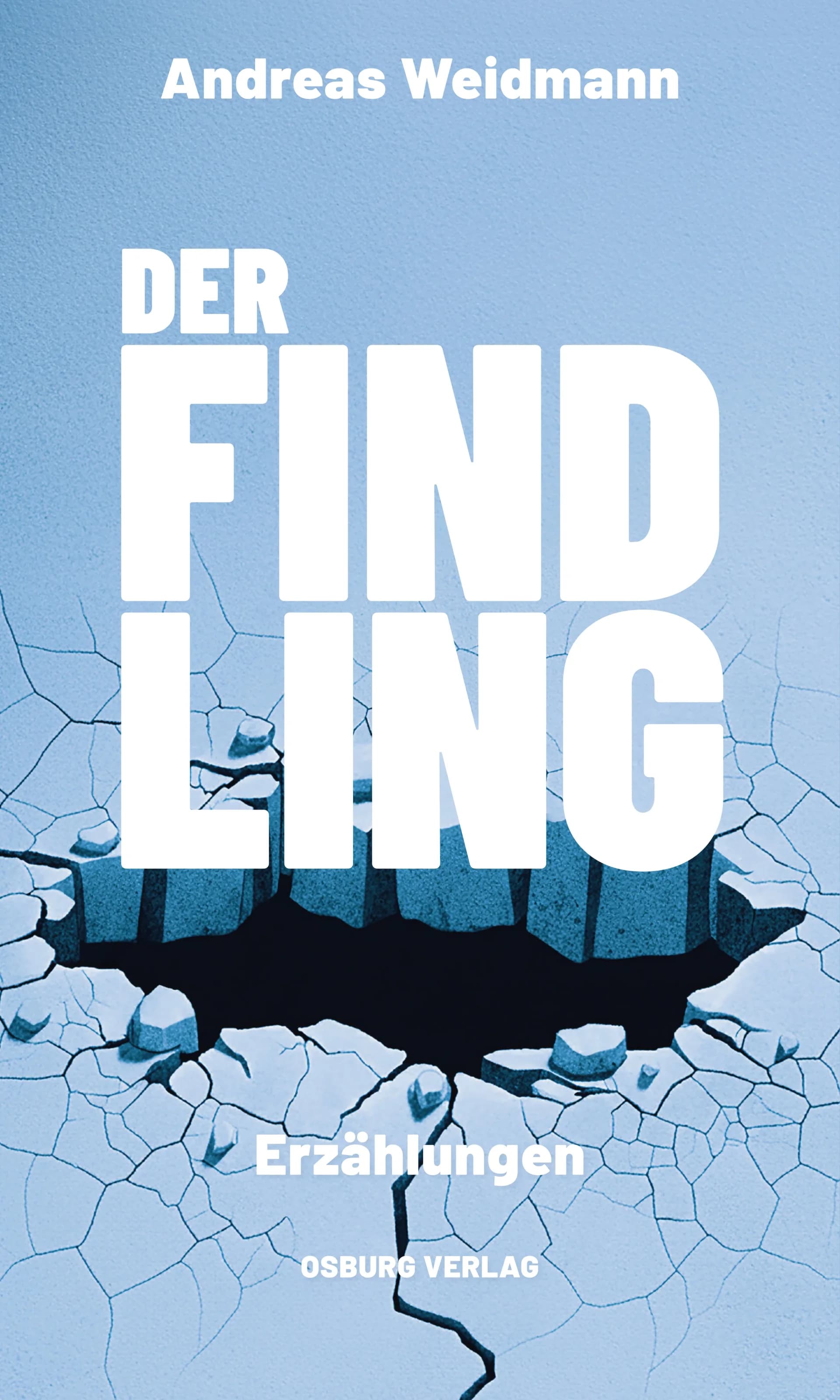 Buchcover: Der Findling — Erzählungen von Osburg Verlag